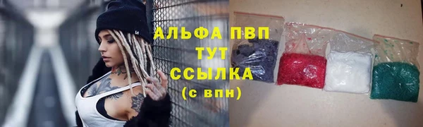 прущий лед Белокуриха